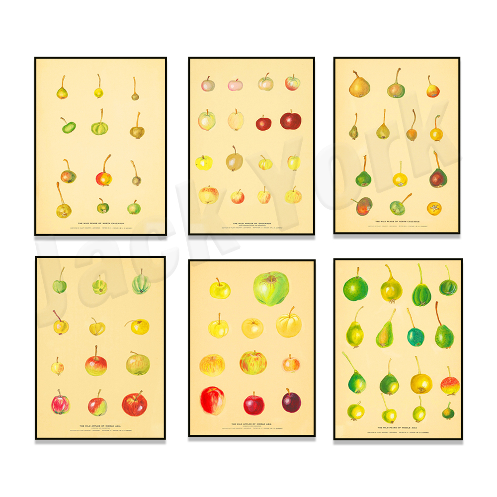 Fruit Kitchen Poster Vintage P - Plant Jackfruit recension och pris